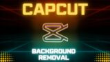 How To Remove Background In Capcut PC – Two Methods – Tutorial